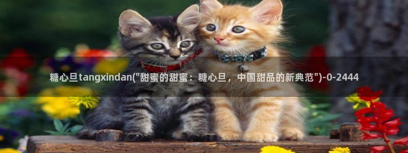 糖心vlog在线观：糖心旦tangxindan(