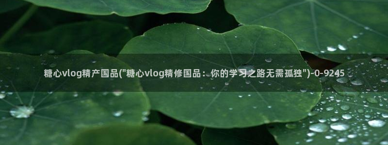 除了糖心vlog还有哪些：糖心vlog精产国品(\