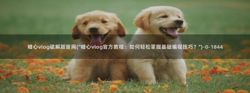 糖心vlog破解版app：糖心vlog破解版官网(\