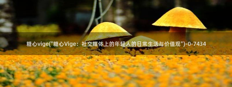 糖心成年版vlog：糖心vige(\