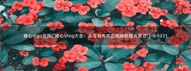 糖心vlog现在观看：糖心vlgo官网(\