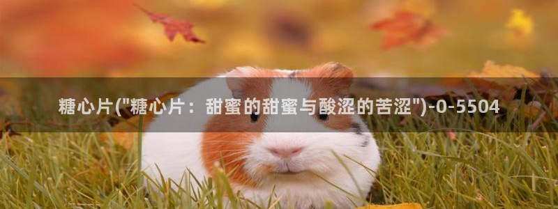 糖心破vlog解版：糖心片(\