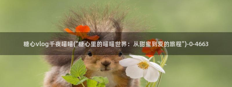 糖心vlog直接看：糖心vlog千夜喵喵(\