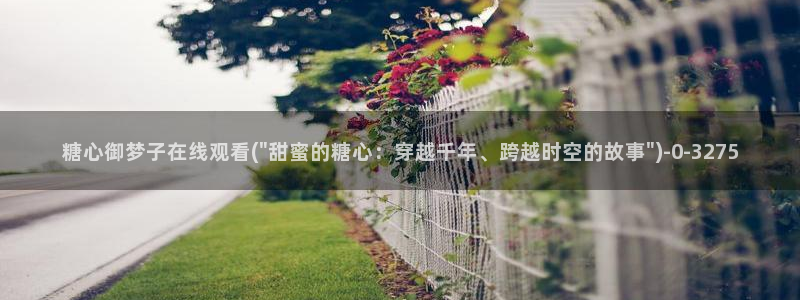 糖心vlog 免费观看完整版：糖心御梦子在线观看(\