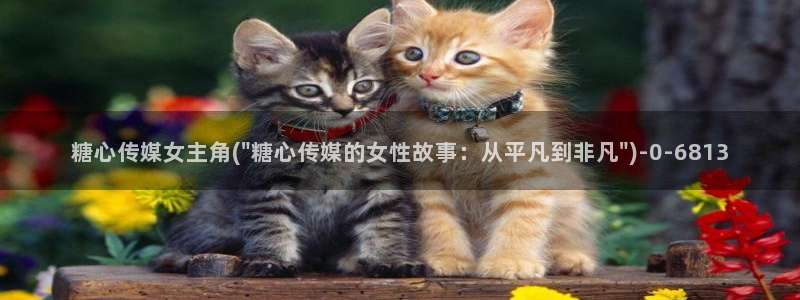 糖心vlog完整版：糖心传媒女主角(\