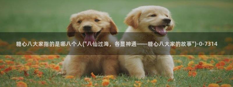 糖心vlog小：糖心八大家指的是哪八个人(\